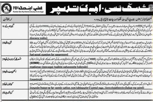 Data Warehouse Urdu Jobs in Pakistan