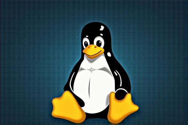 Linux Administrator Job Opportunities in Pakistan